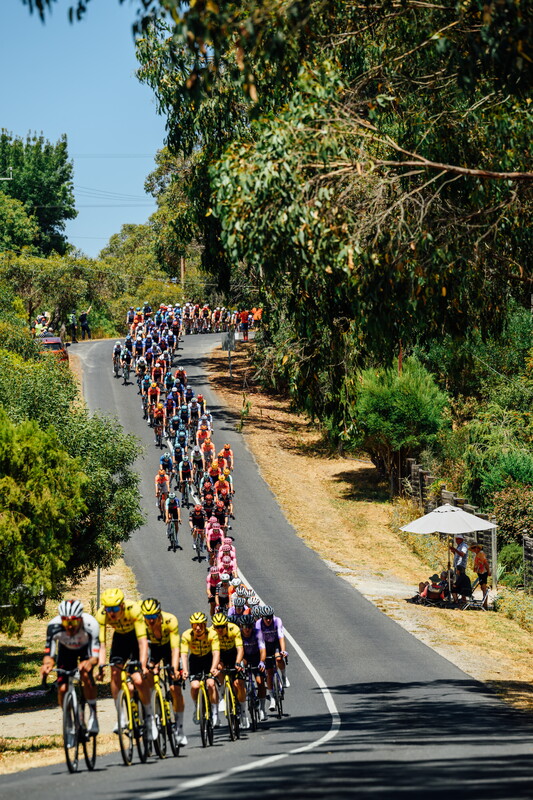 CAuldPhoto-2026-TDU-Stage5-Men-7323.jpg
