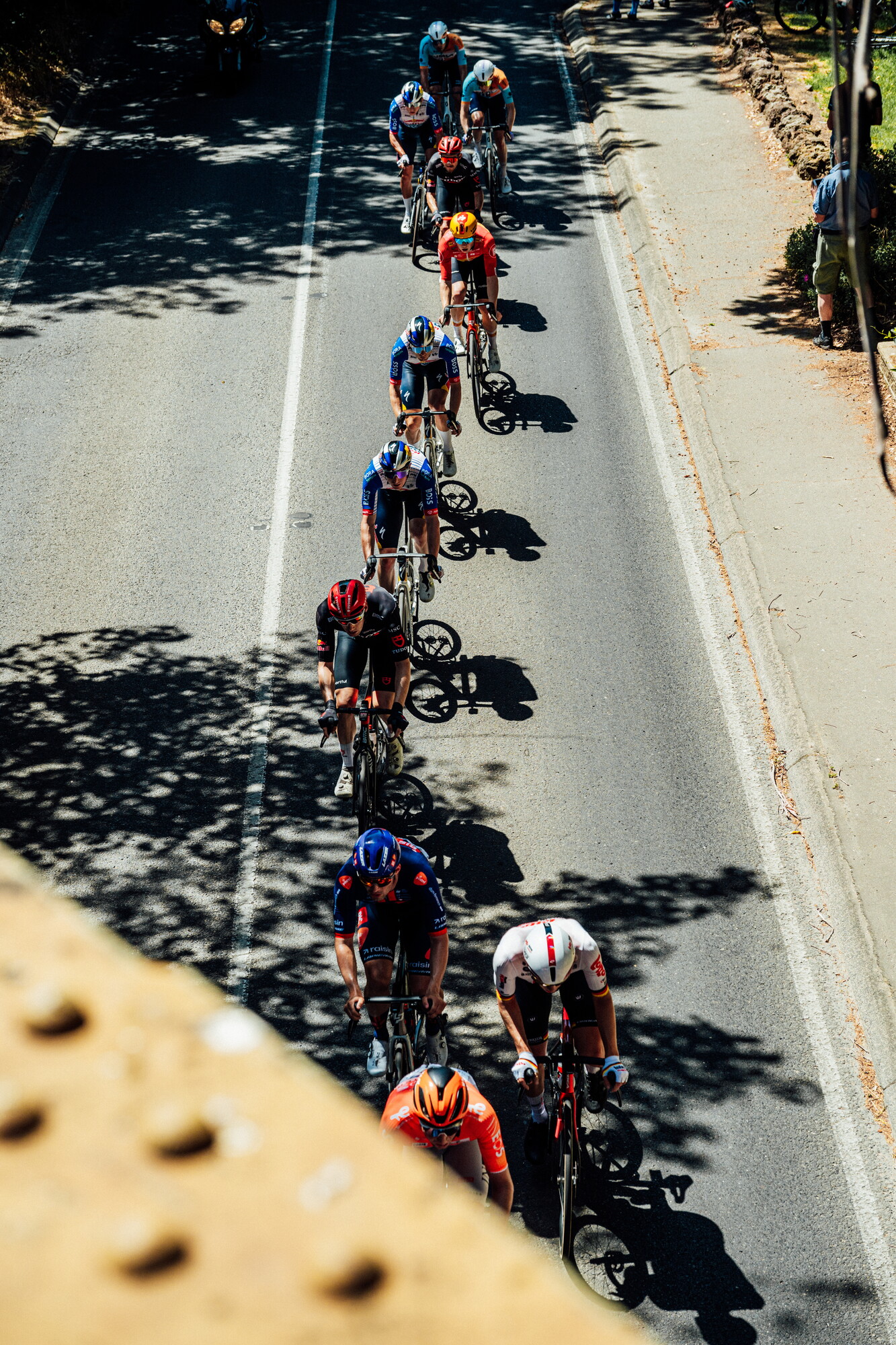 cyclingimages-TDU-2026-Mens Stage 5-835794.jpg