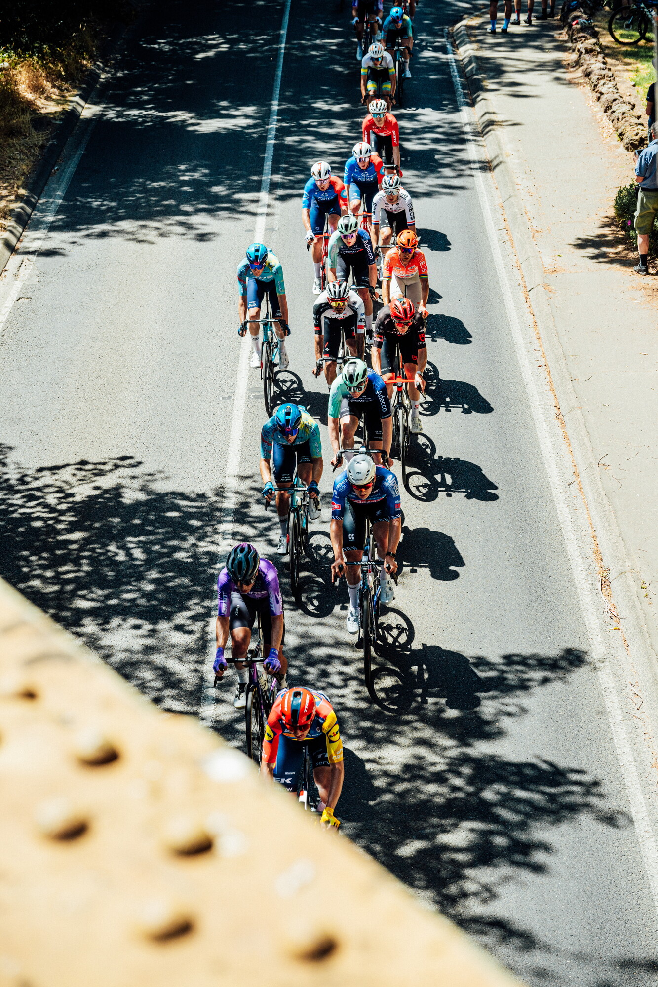 cyclingimages-TDU-2026-Mens Stage 5-835769.jpg