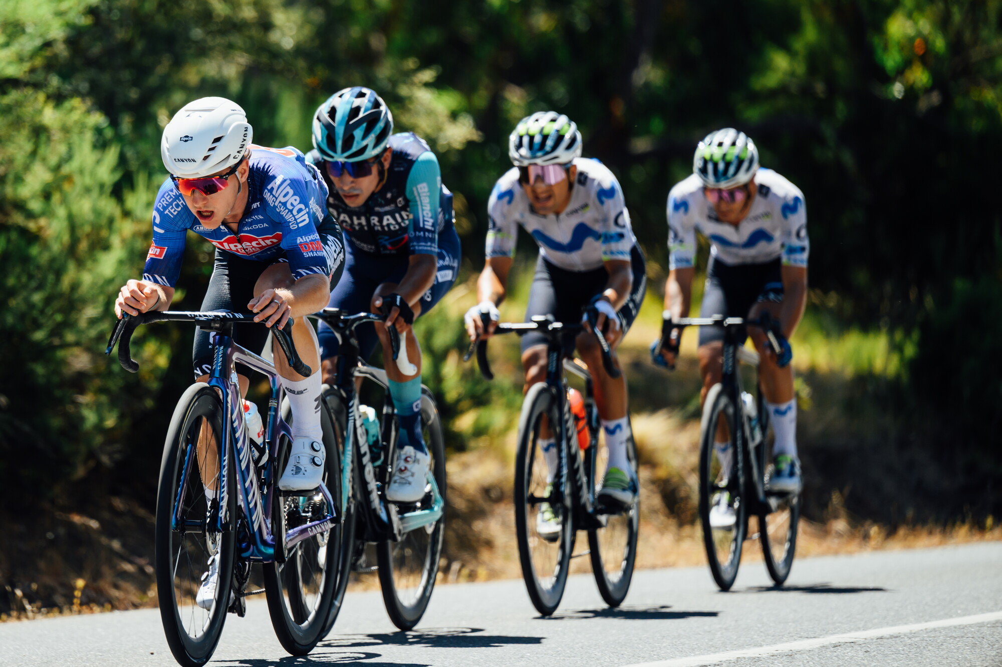 CAuldPhoto-2026-TDU-Stage5-Men-8501.jpg