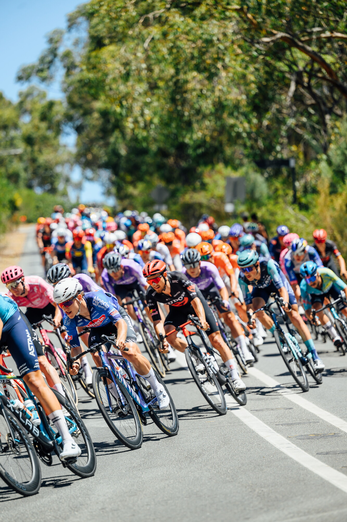 CAuldPhoto-2026-TDU-Stage5-Men-8027.jpg