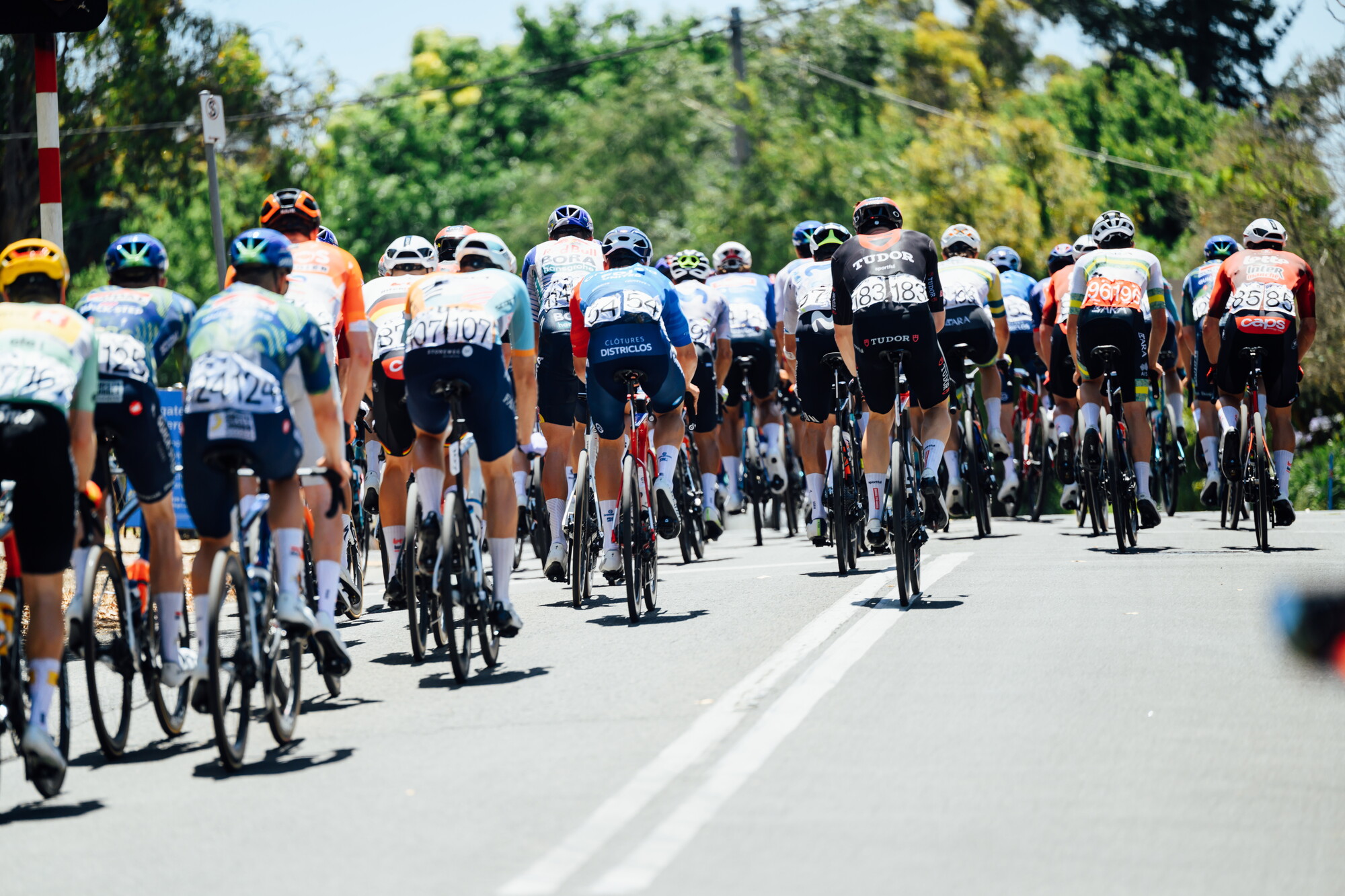 CAuldPhoto-2026-TDU-Stage5-Men-7725.jpg