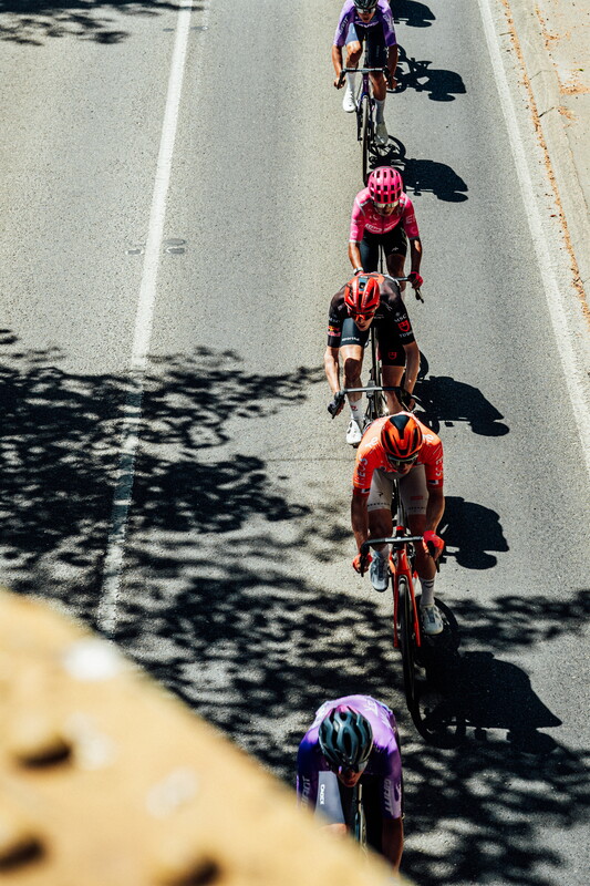 cyclingimages-TDU-2026-Mens Stage 5-835561.jpg