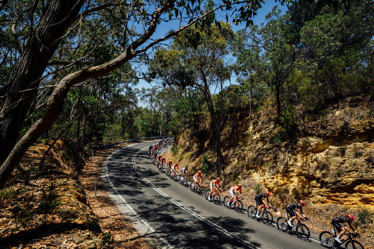 CAuldPhoto-2026-TDU-Stage5-Men-7463.jpg