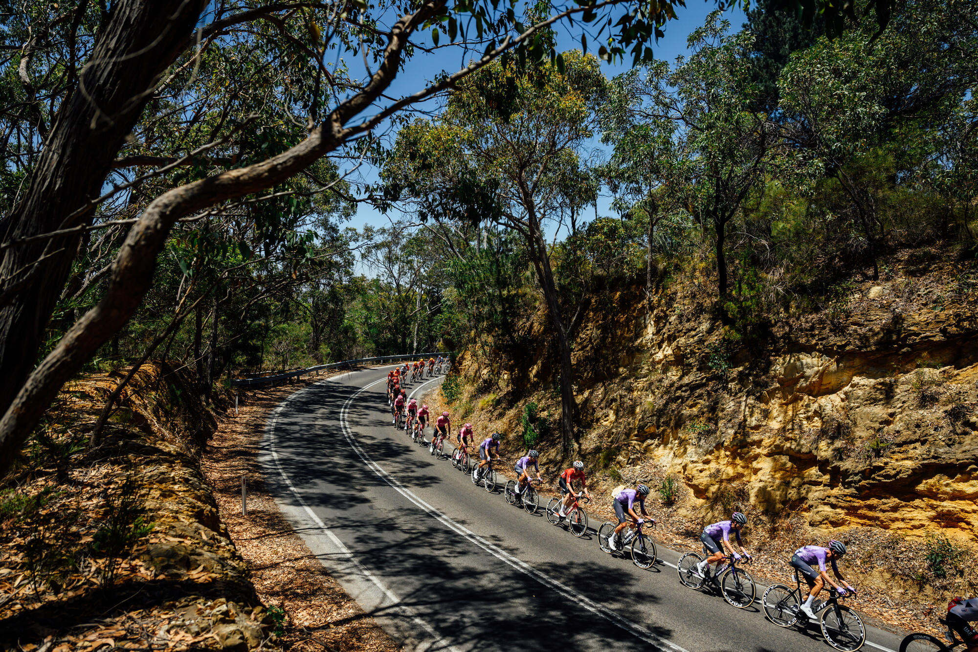 CAuldPhoto-2026-TDU-Stage5-Men-7432.jpg