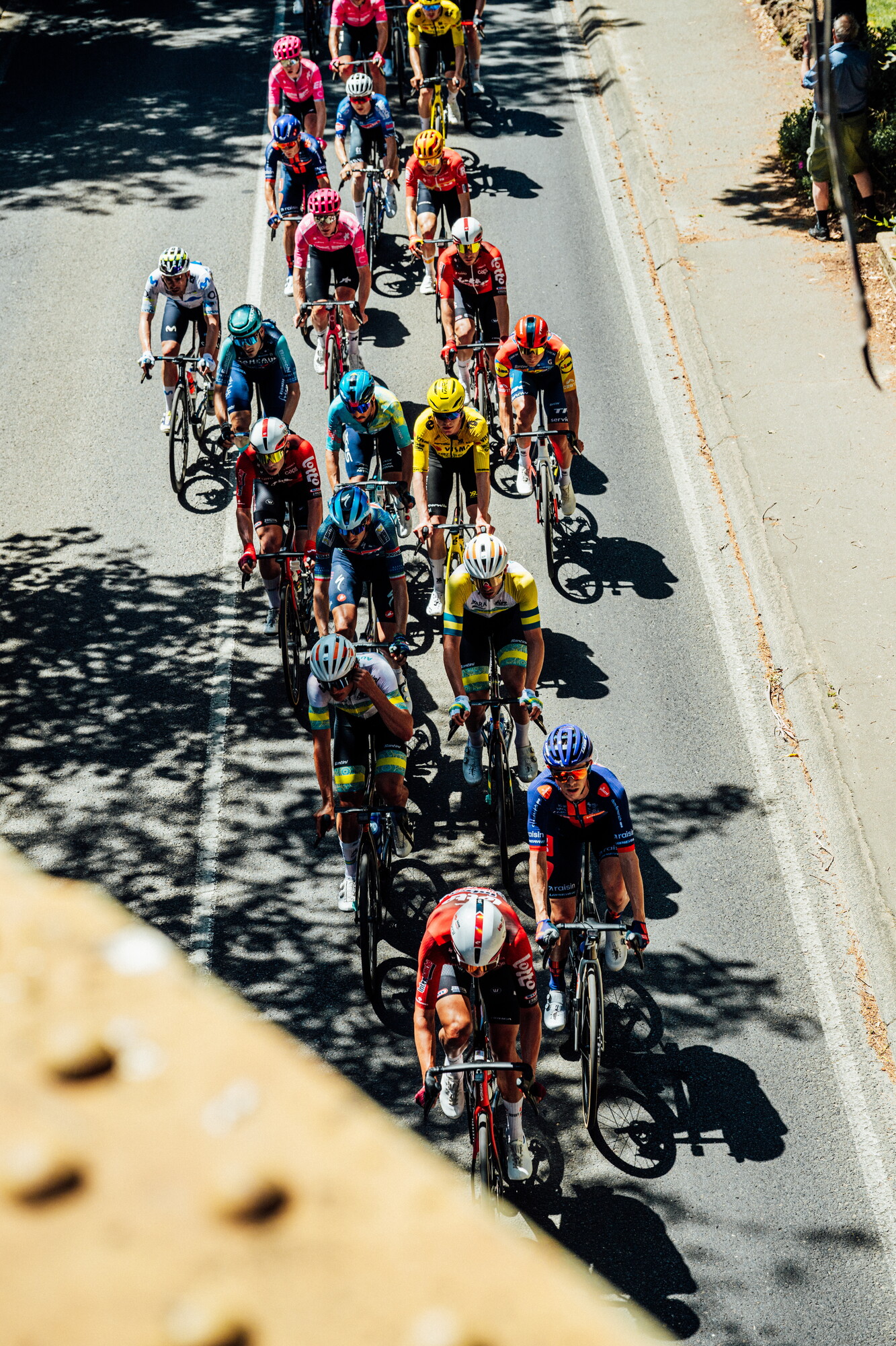 cyclingimages-TDU-2026-Mens Stage 5-835676.jpg