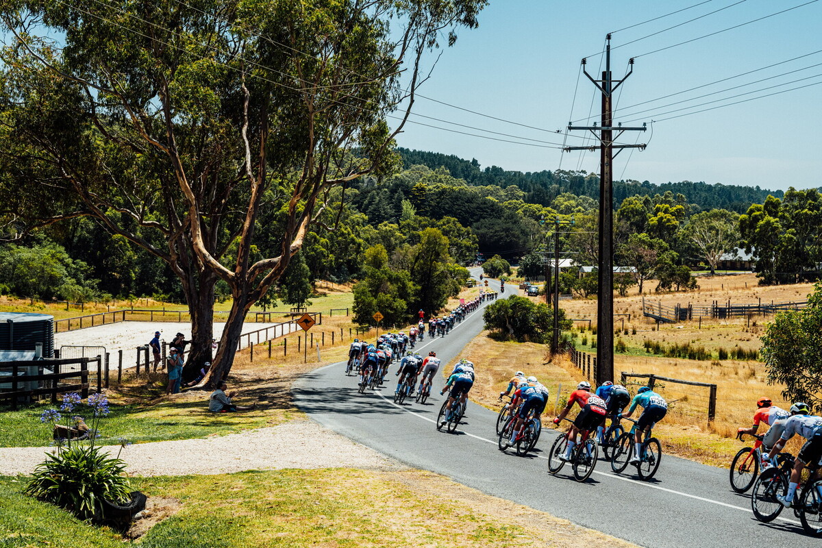 cyclingimages-TDU-2026-Mens Stage 5-836144.jpg