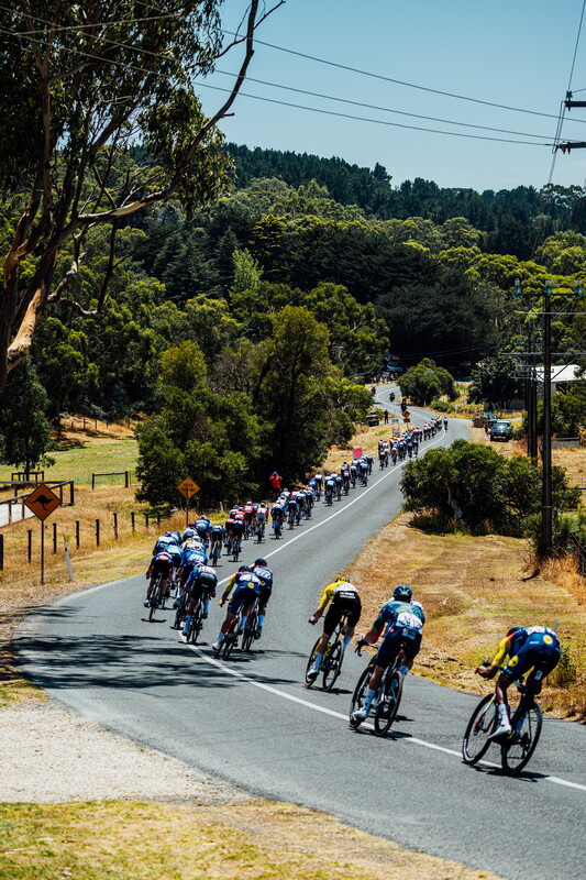 cyclingimages-TDU-2026-Mens Stage 5-826020.jpg