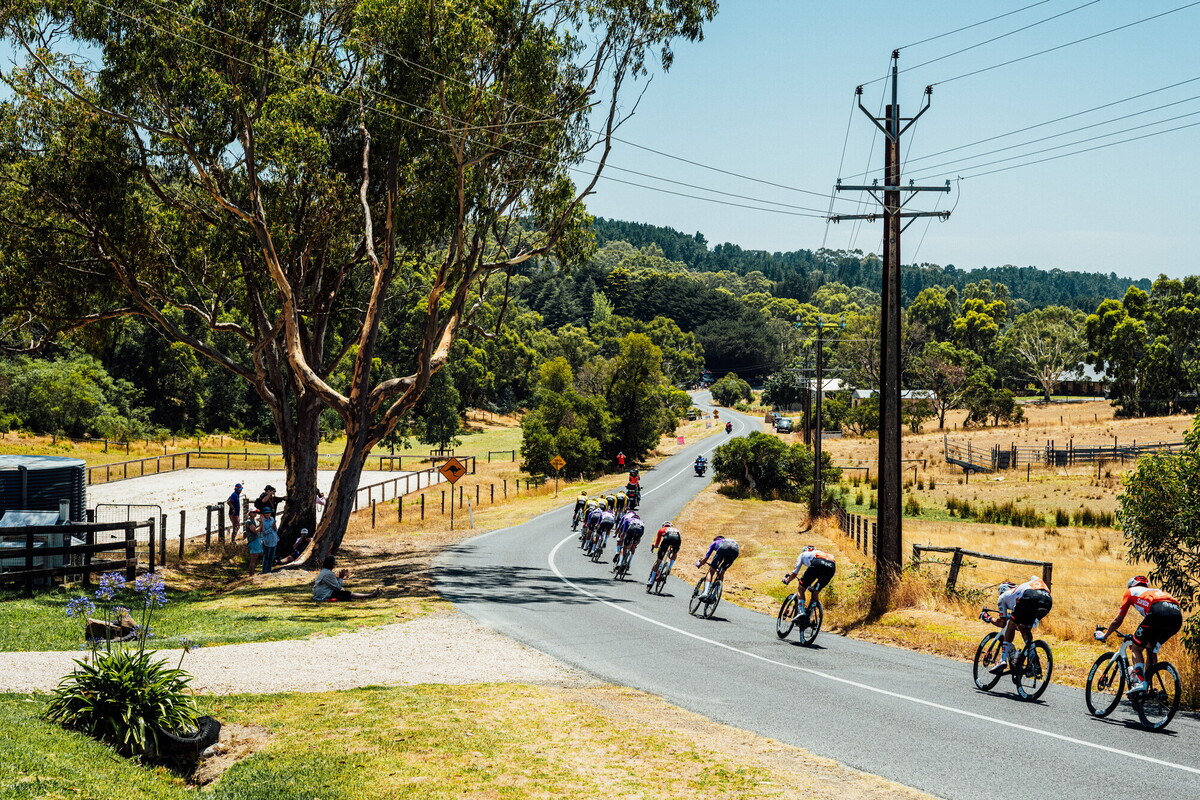 cyclingimages-TDU-2026-Mens Stage 5-836002.jpg
