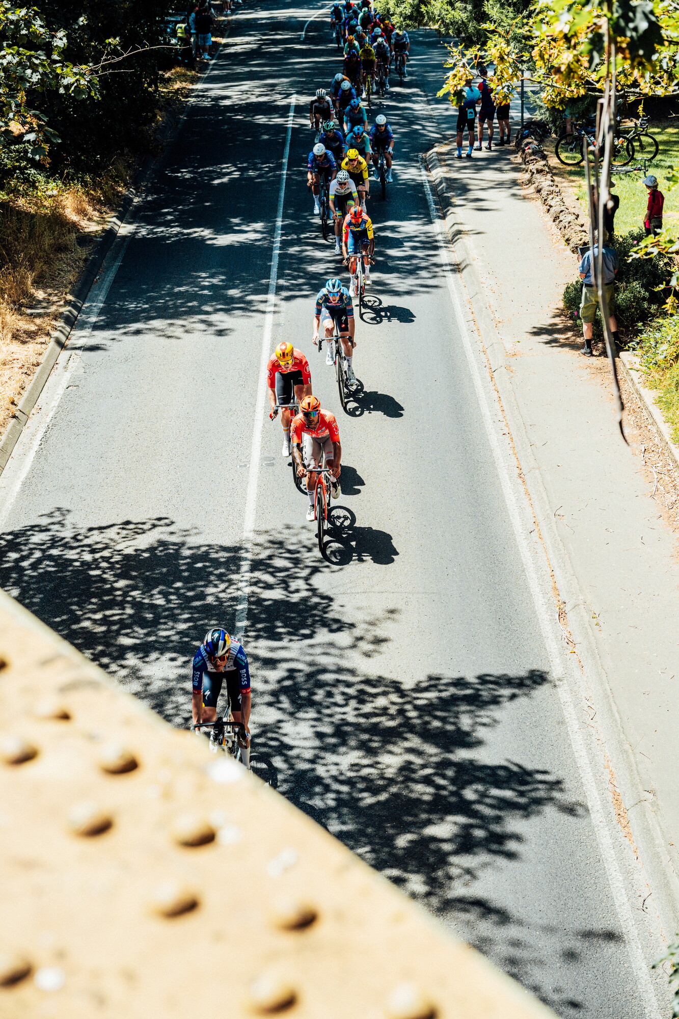 cyclingimages-TDU-2026-Mens Stage 5-835701.jpg