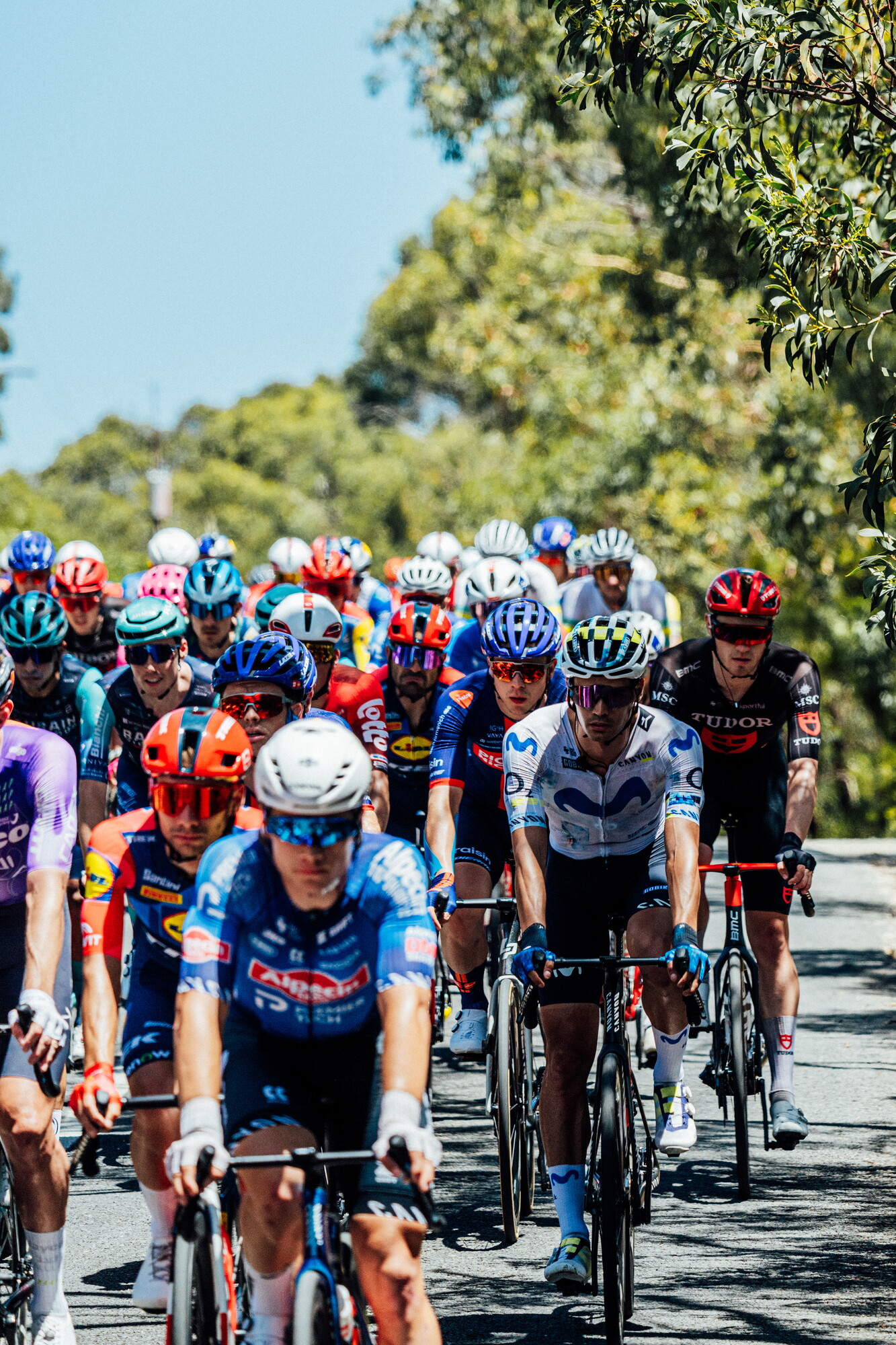 cyclingimages-TDU-2026-Mens Stage 5-826382.jpg