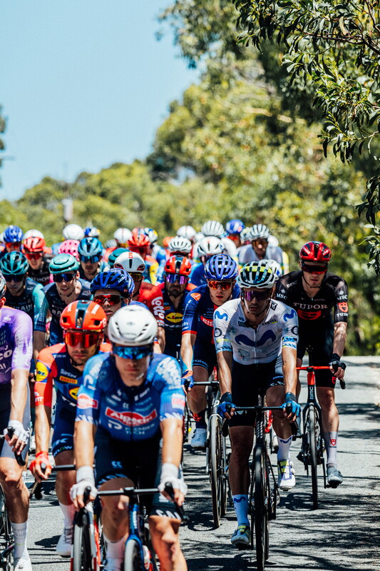 cyclingimages-TDU-2026-Mens Stage 5-826382.jpg