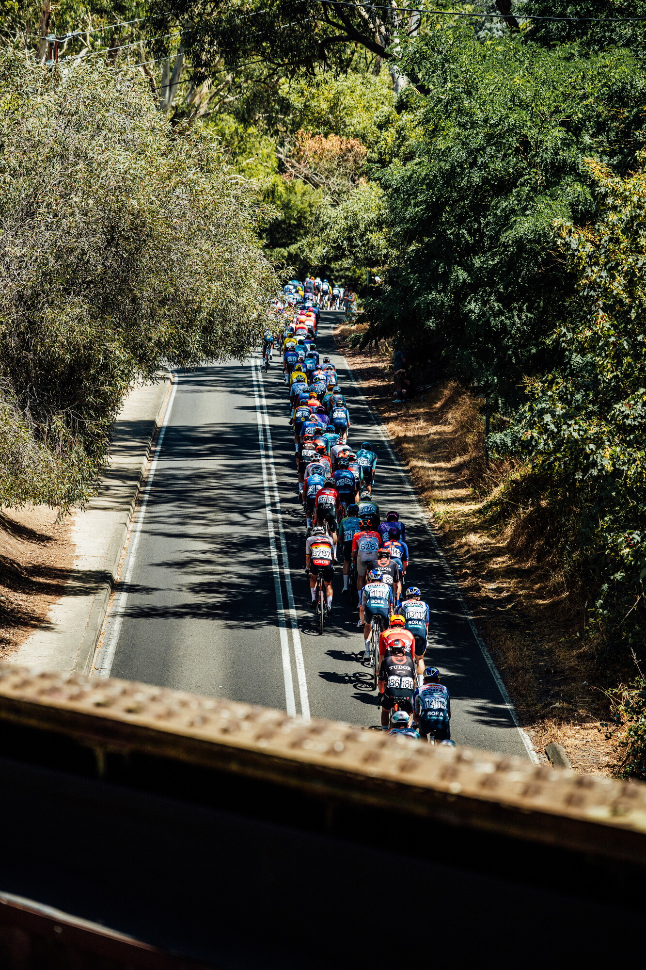 cyclingimages-TDU-2026-Mens Stage 5-835839.jpg