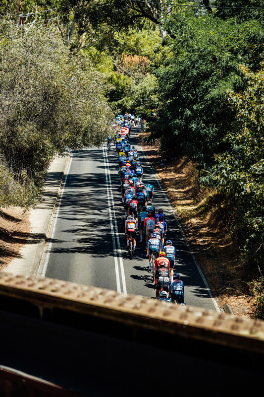 cyclingimages-TDU-2026-Mens Stage 5-835839.jpg