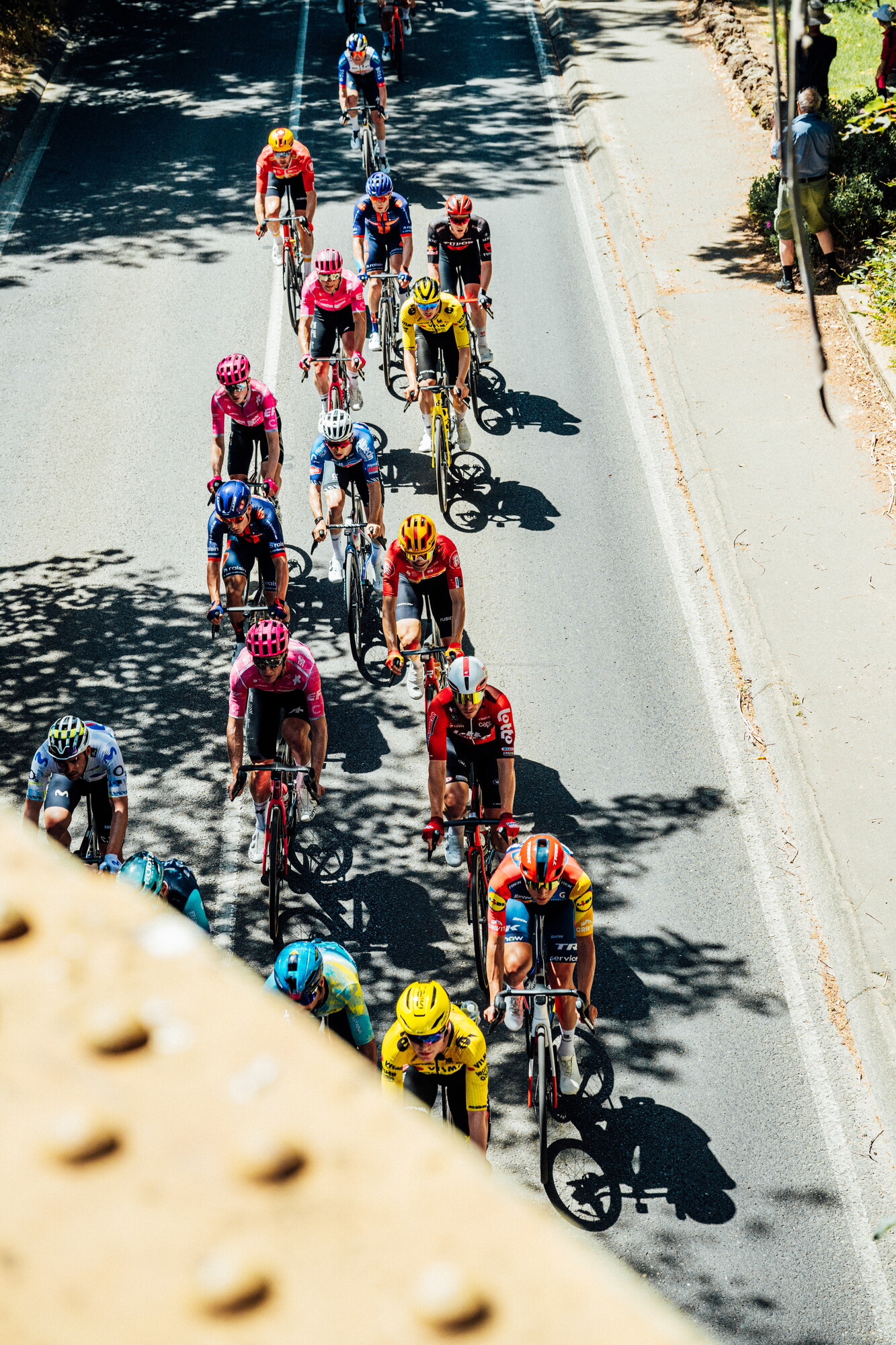 cyclingimages-TDU-2026-Mens Stage 5-835686.jpg
