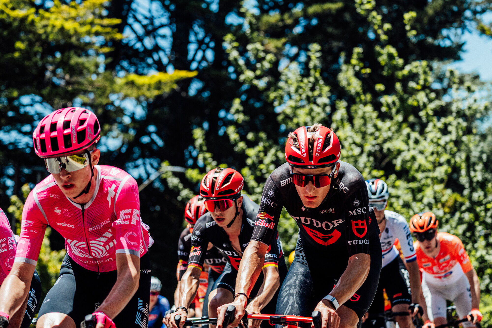 cyclingimages-TDU-2026-Mens Stage 5-826960.jpg