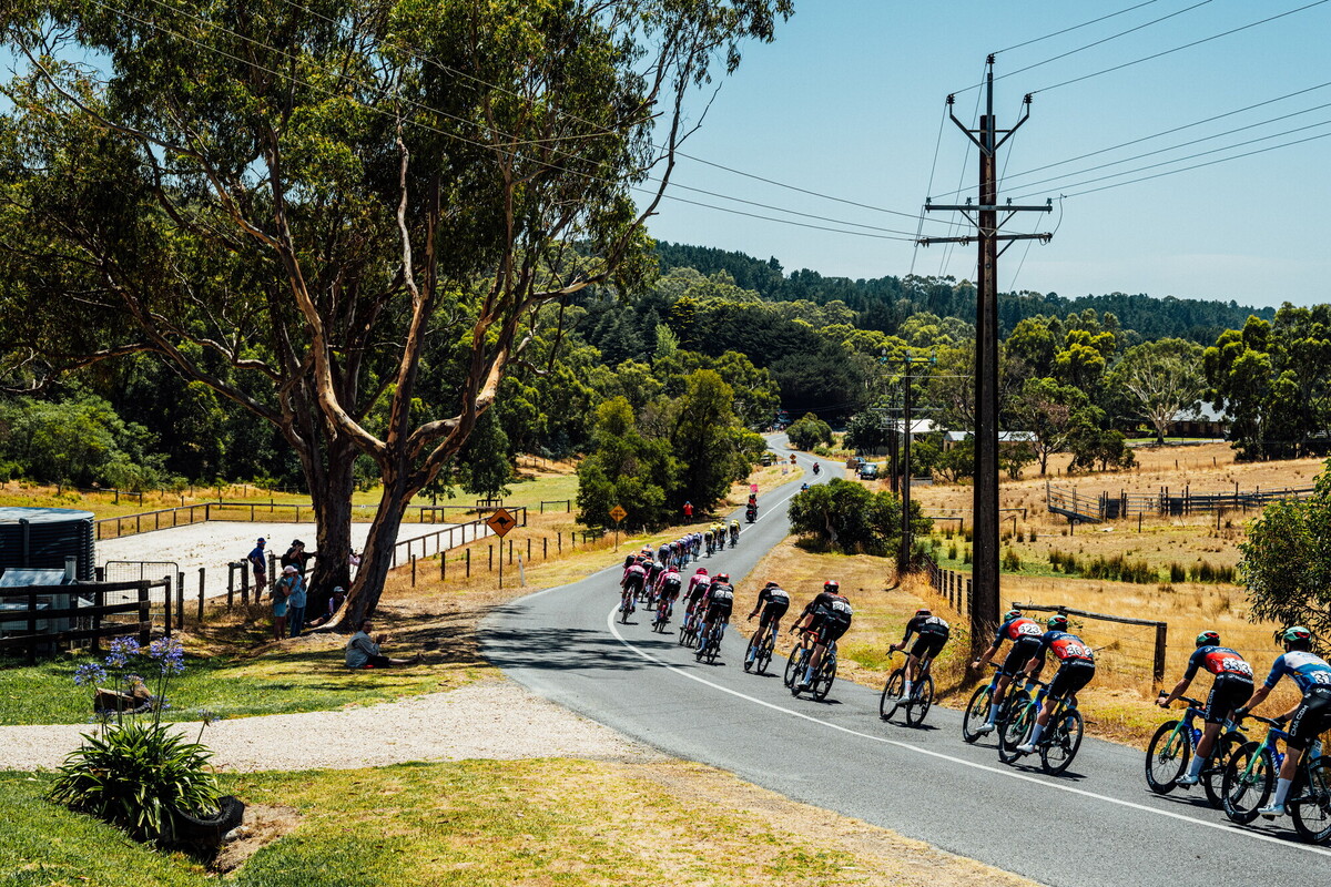 cyclingimages-TDU-2026-Mens Stage 5-836040.jpg