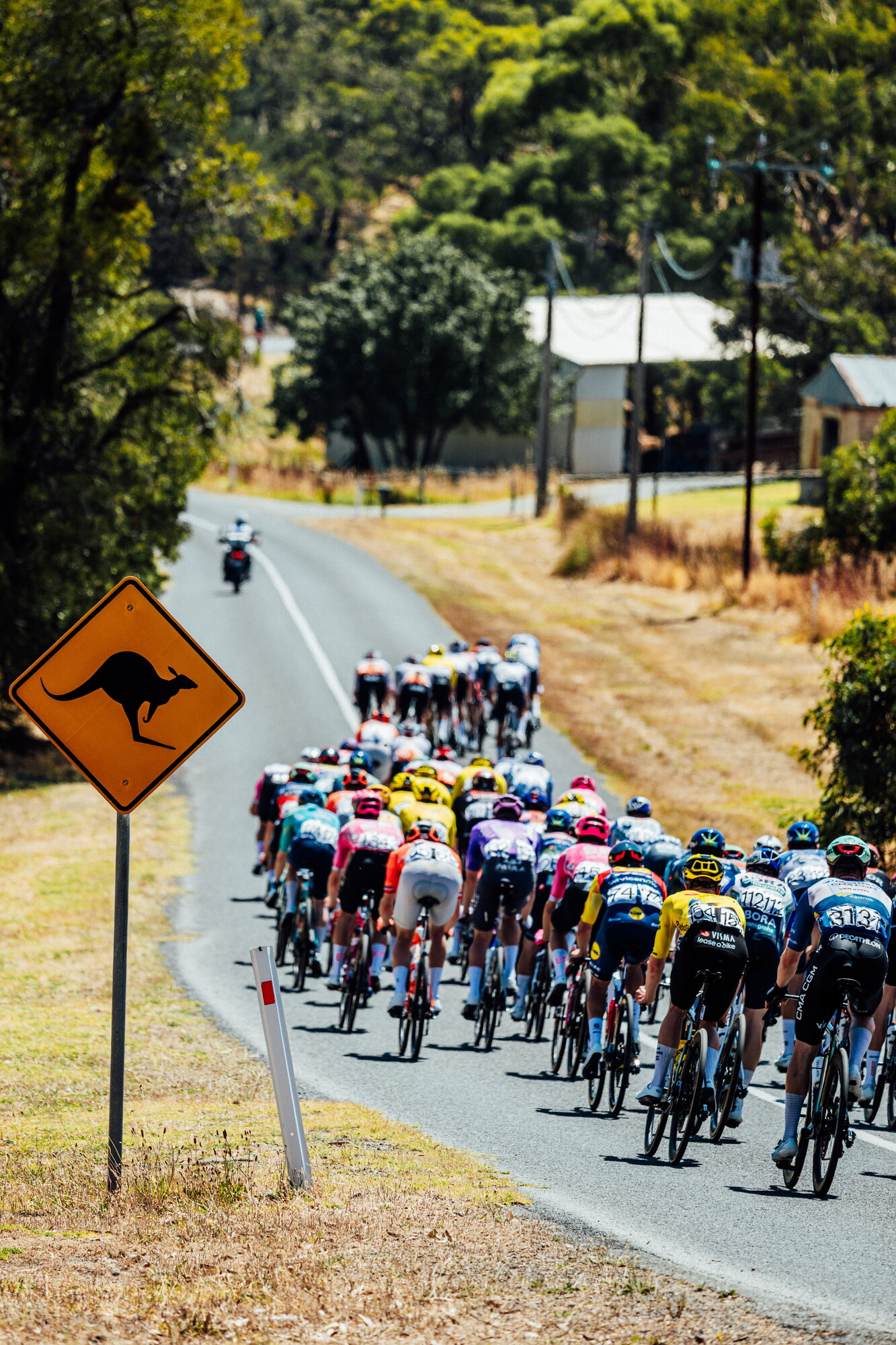 cyclingimages-TDU-2026-Mens Stage 5-825790.jpg