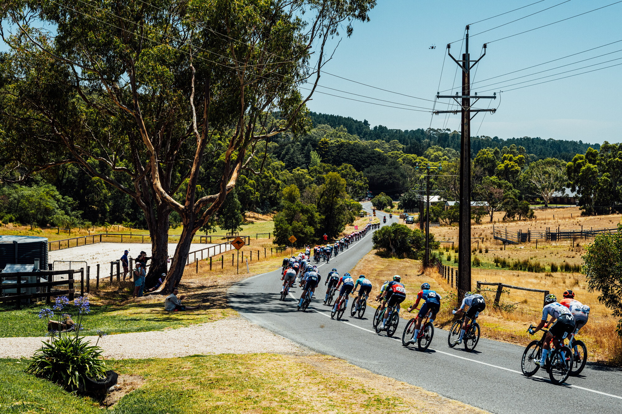 cyclingimages-TDU-2026-Mens Stage 5-836127.jpg