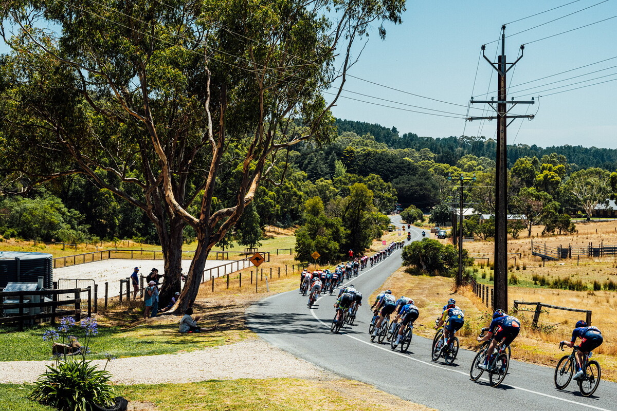 cyclingimages-TDU-2026-Mens Stage 5-836107.jpg