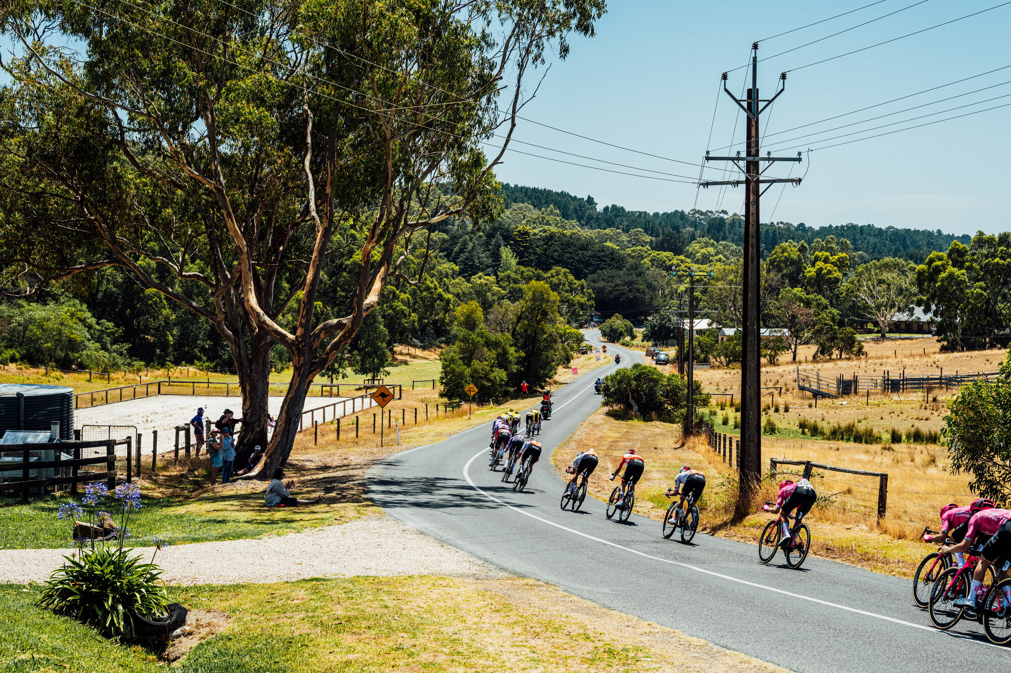 cyclingimages-TDU-2026-Mens Stage 5-836014.jpg