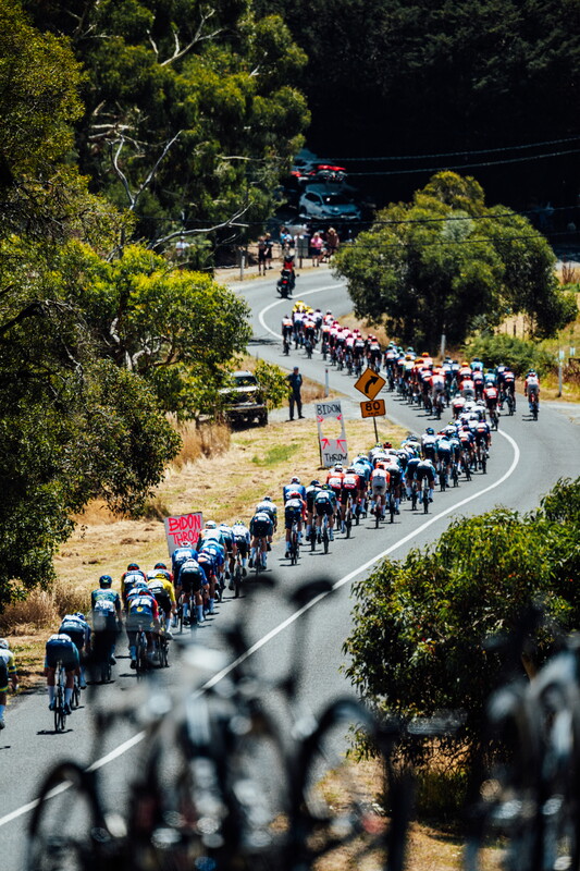 cyclingimages-TDU-2026-Mens Stage 5-826101.jpg