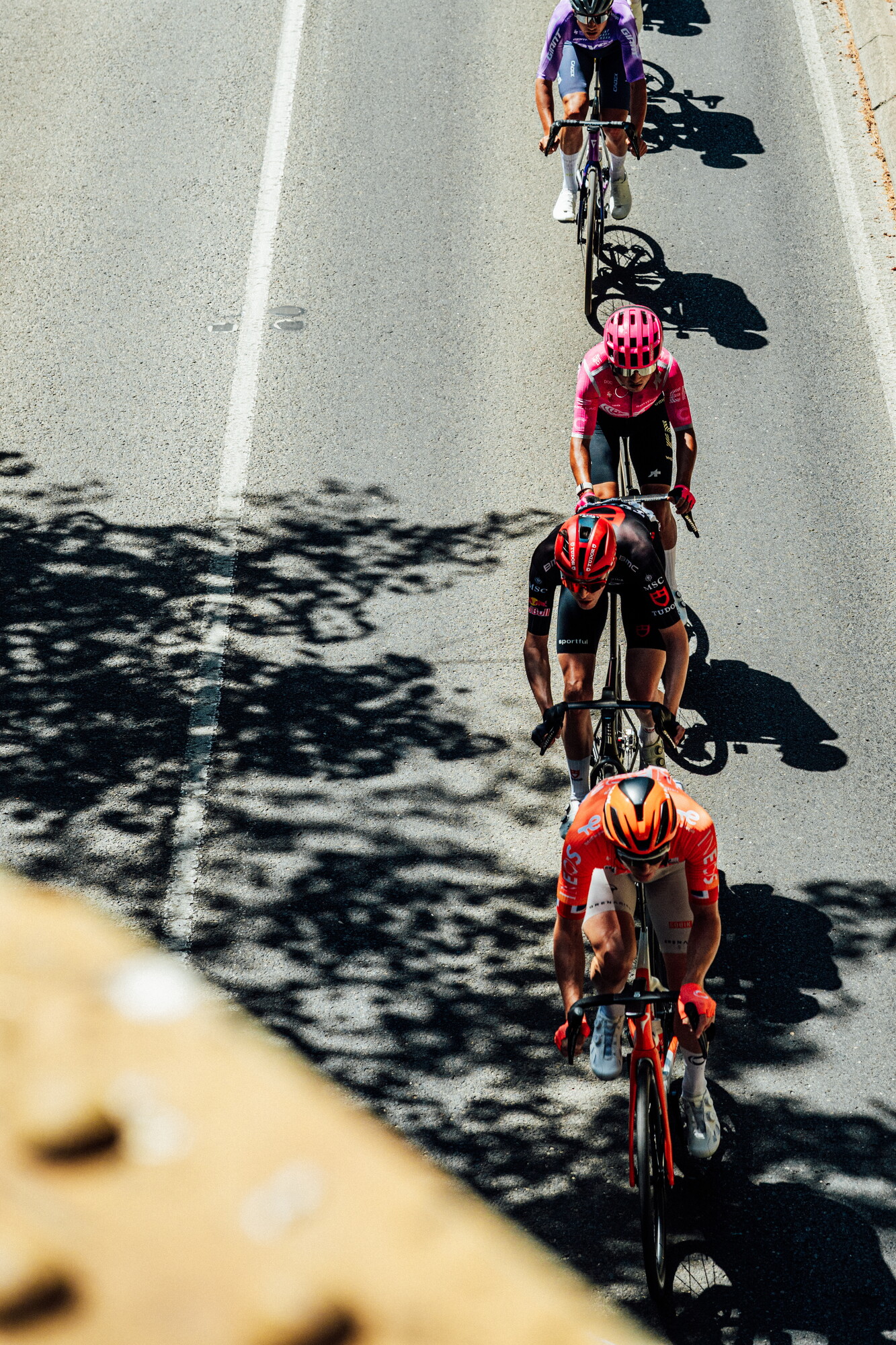 cyclingimages-TDU-2026-Mens Stage 5-835563.jpg