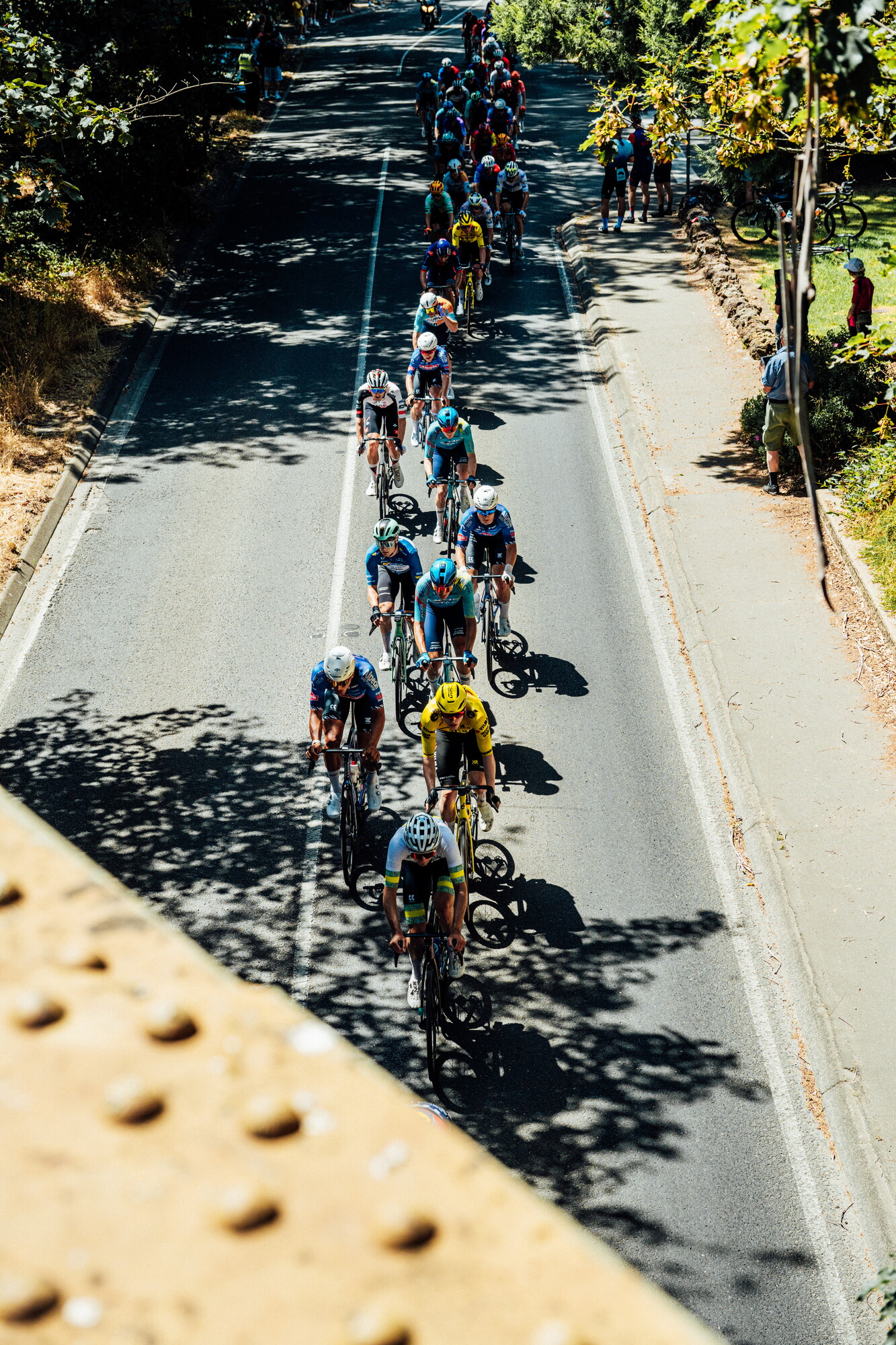 cyclingimages-TDU-2026-Mens Stage 5-835725.jpg
