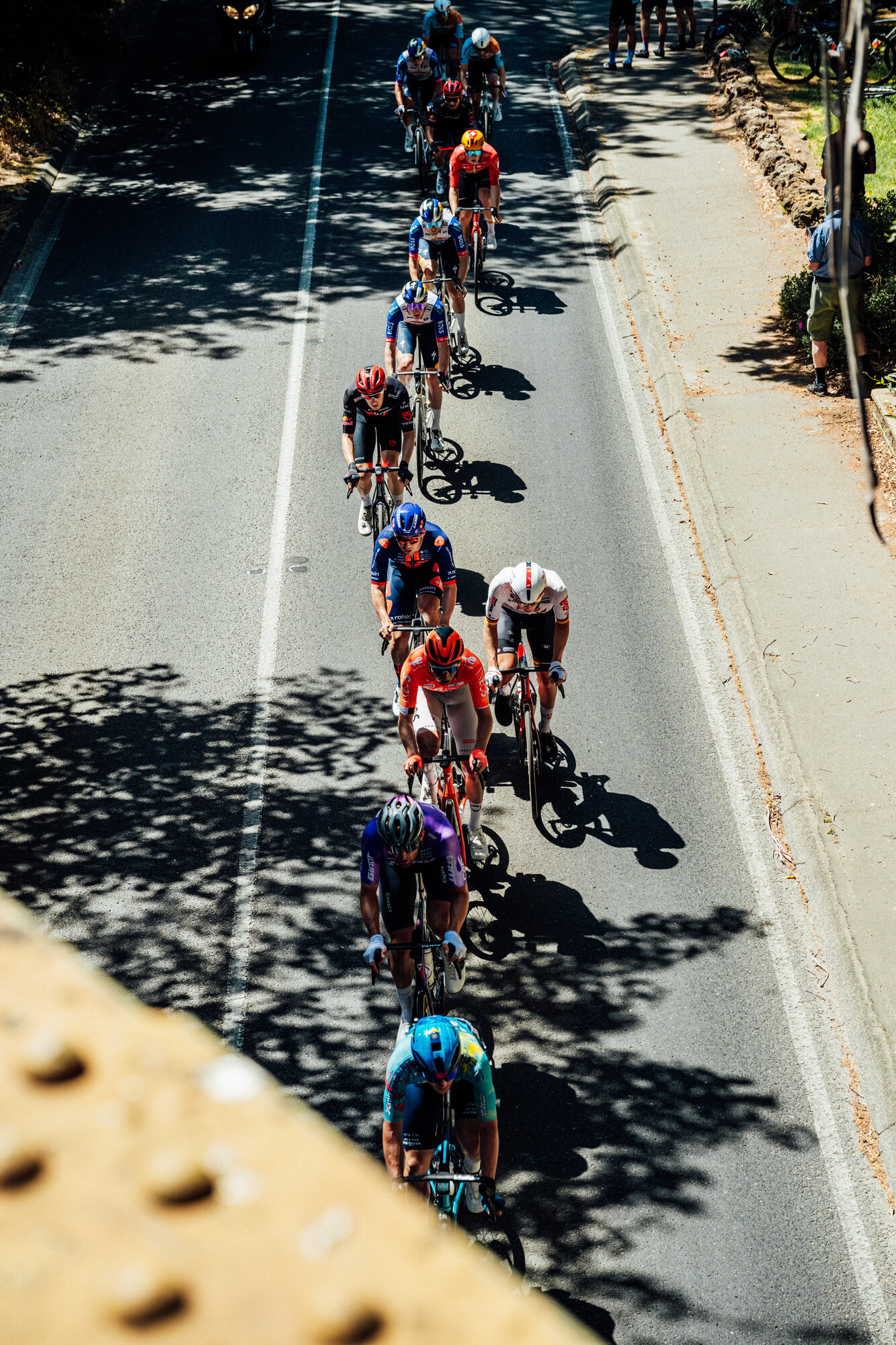cyclingimages-TDU-2026-Mens Stage 5-835787.jpg