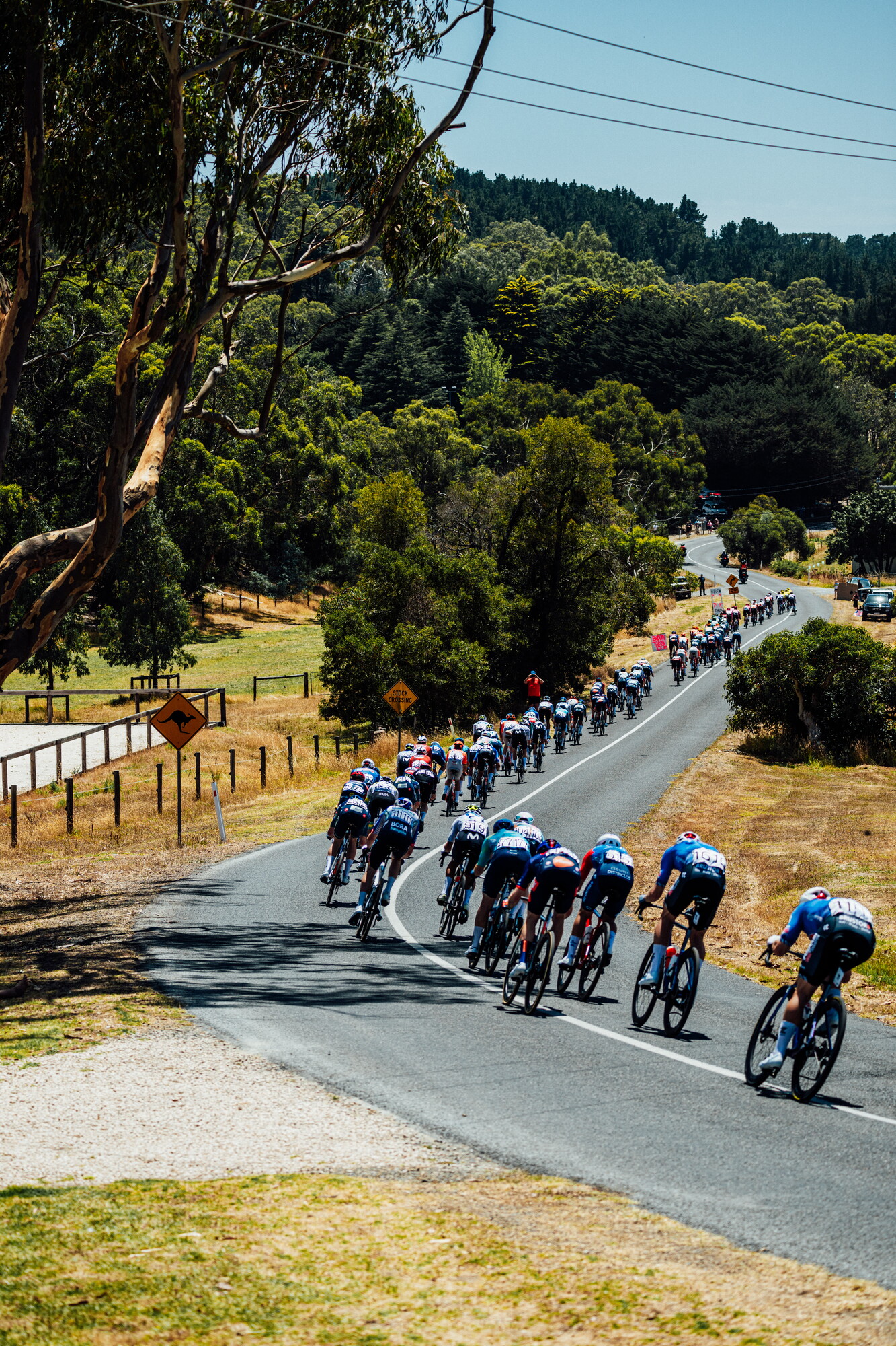 cyclingimages-TDU-2026-Mens Stage 5-826003.jpg