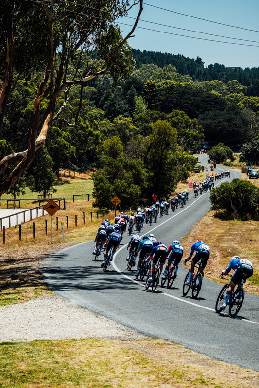 cyclingimages-TDU-2026-Mens Stage 5-826003.jpg
