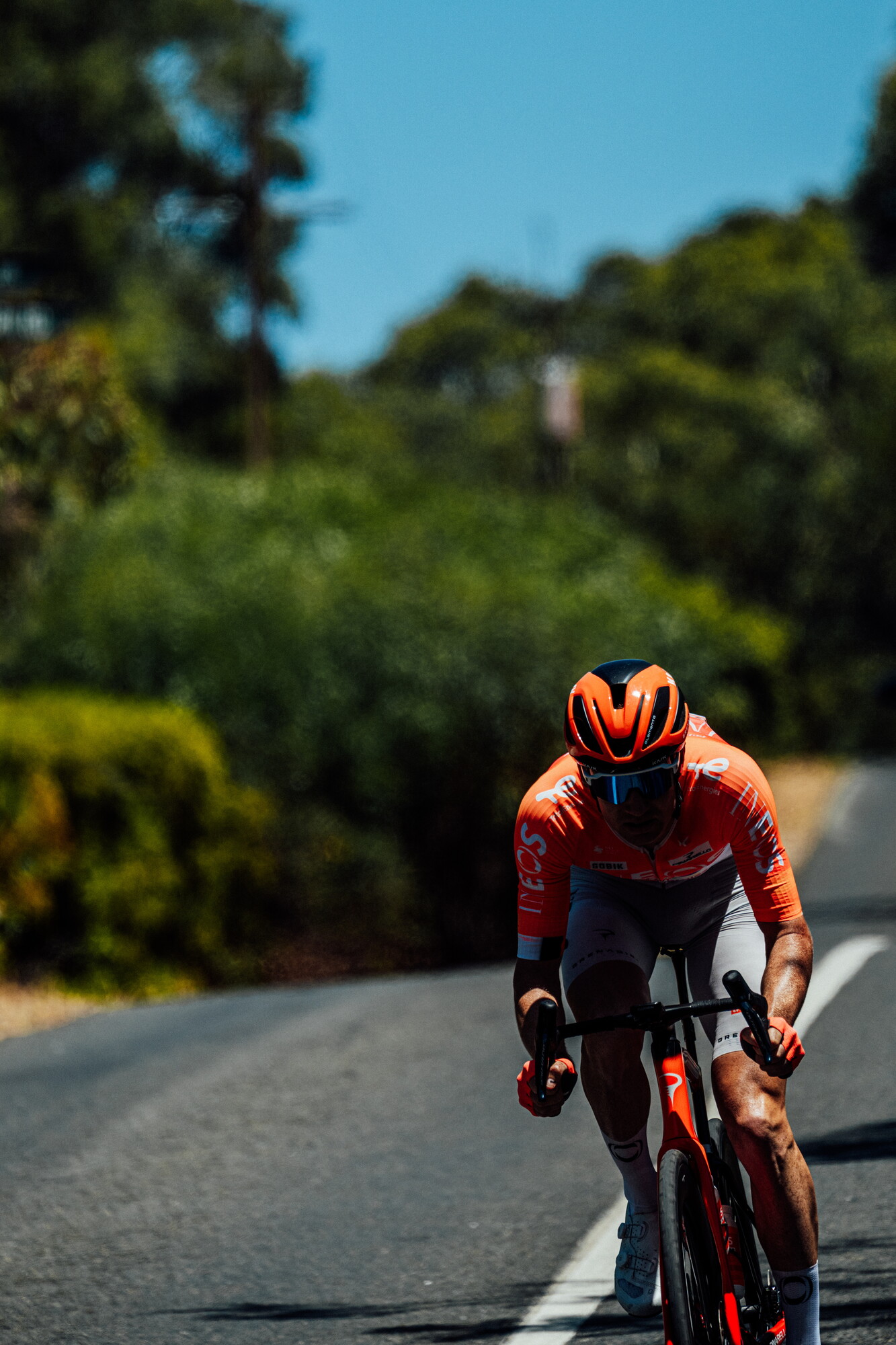 cyclingimages-TDU-2026-Mens Stage 5-826663.jpg