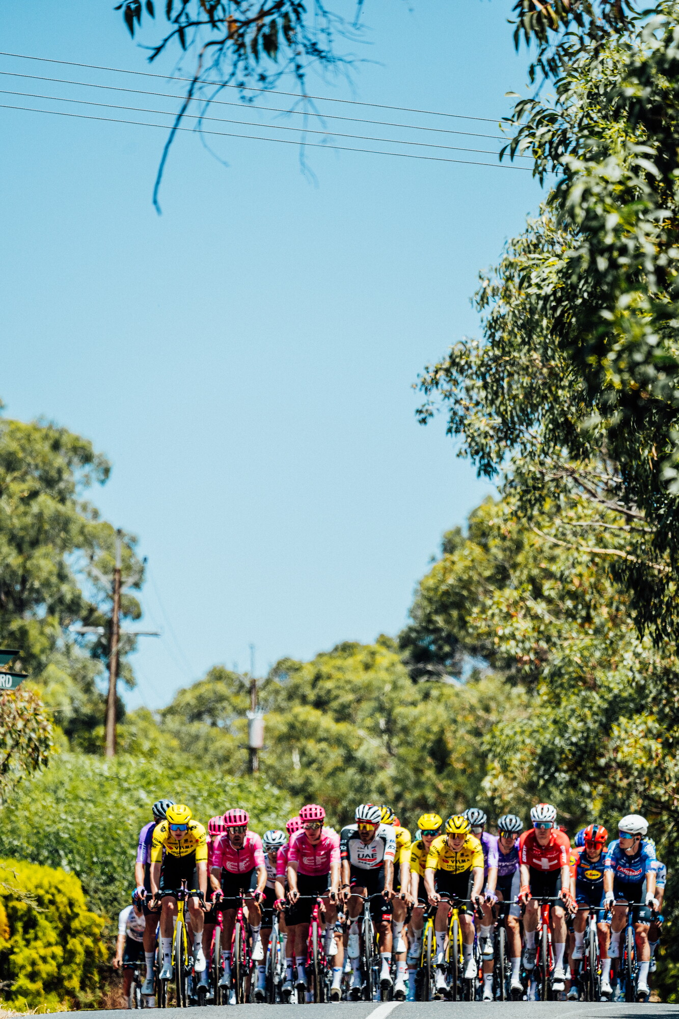 cyclingimages-TDU-2026-Mens Stage 5-826339.jpg