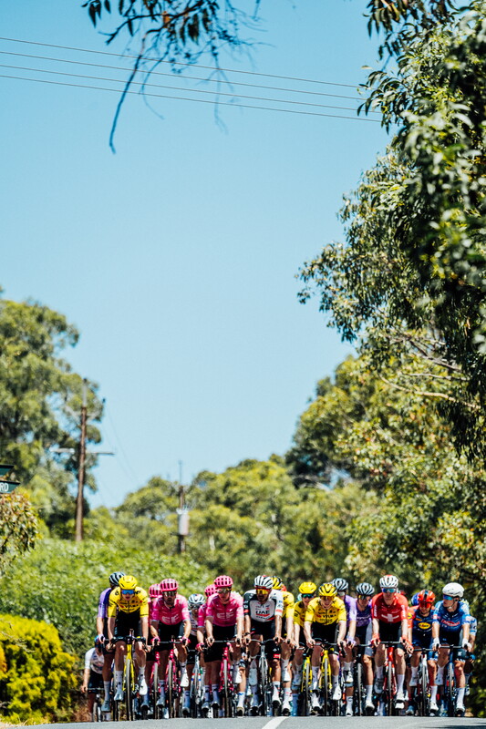 cyclingimages-TDU-2026-Mens Stage 5-826339.jpg