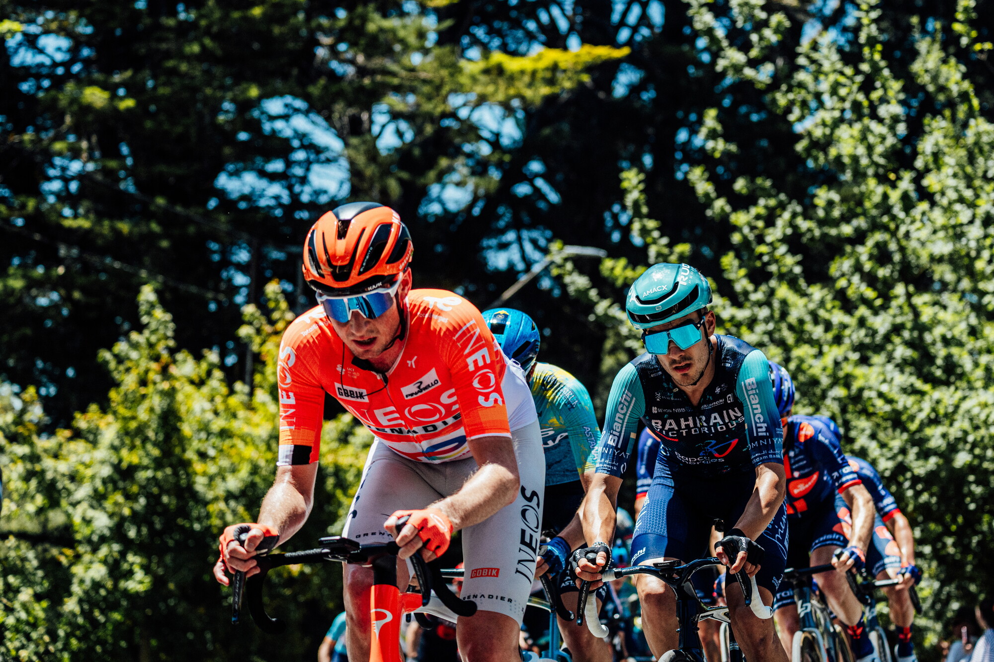 cyclingimages-TDU-2026-Mens Stage 5-827044.jpg