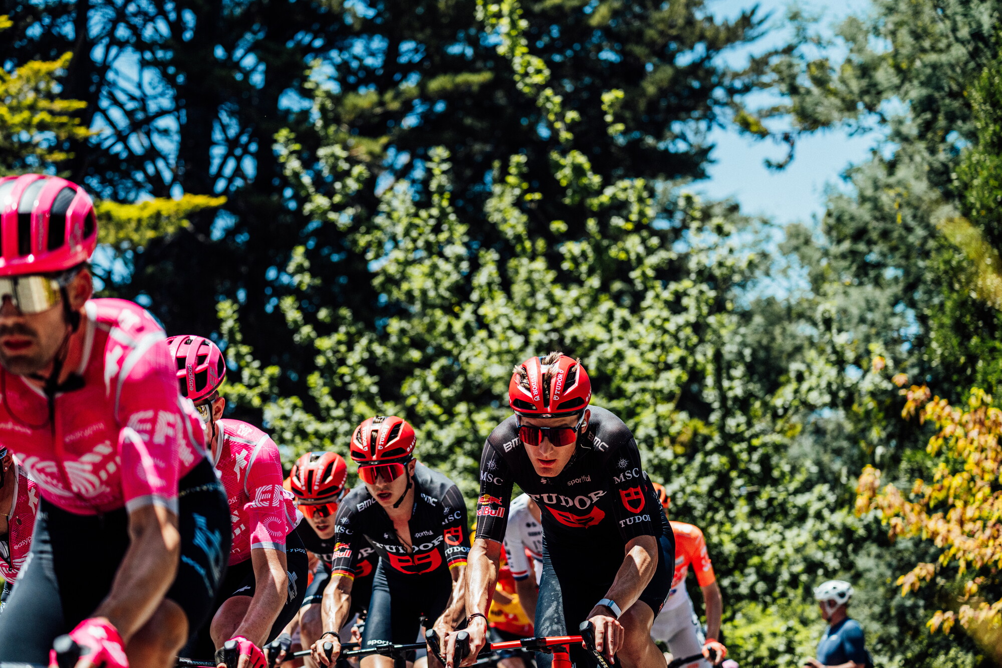 cyclingimages-TDU-2026-Mens Stage 5-826956.jpg