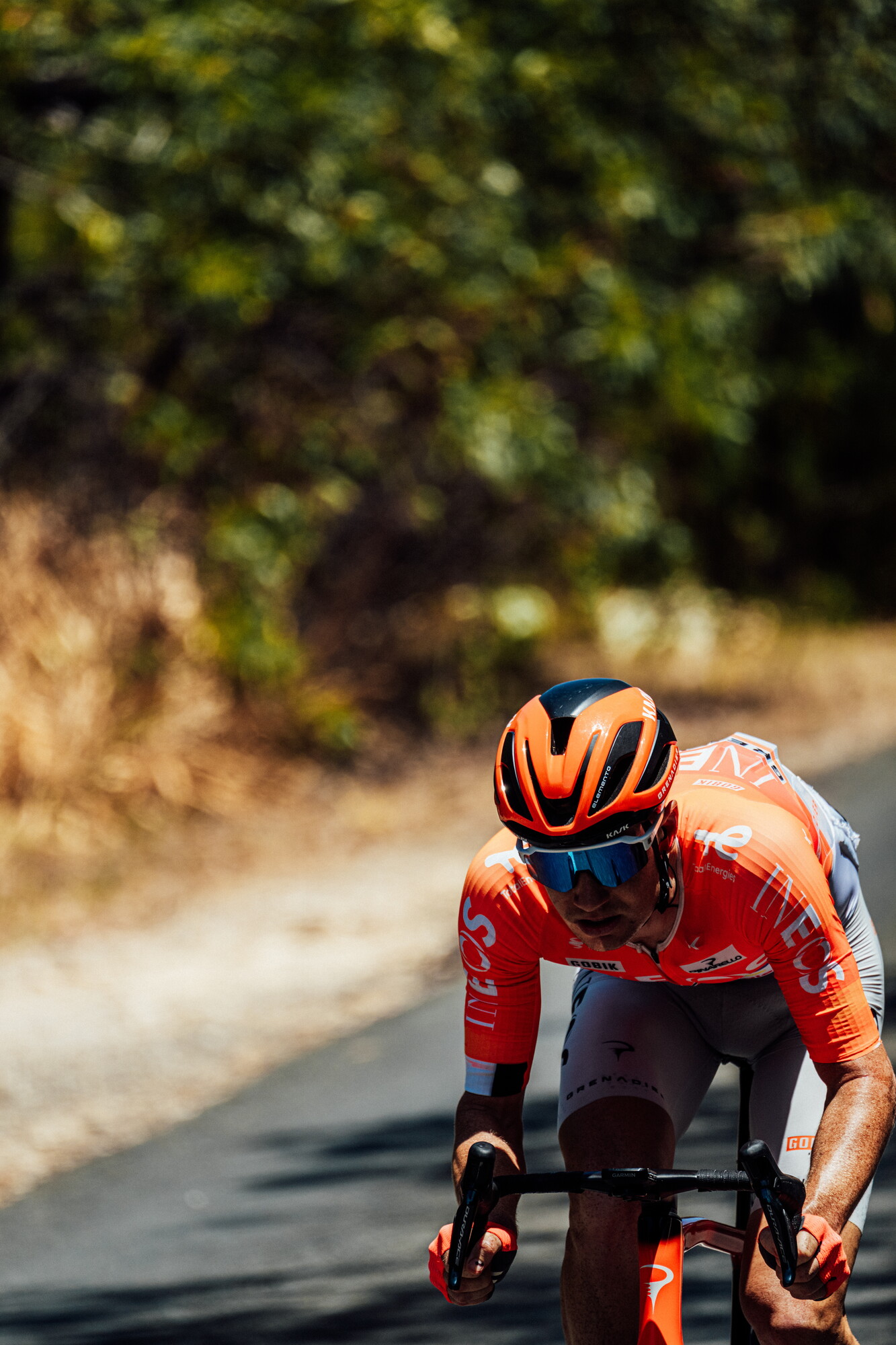 cyclingimages-TDU-2026-Mens Stage 5-826673.jpg