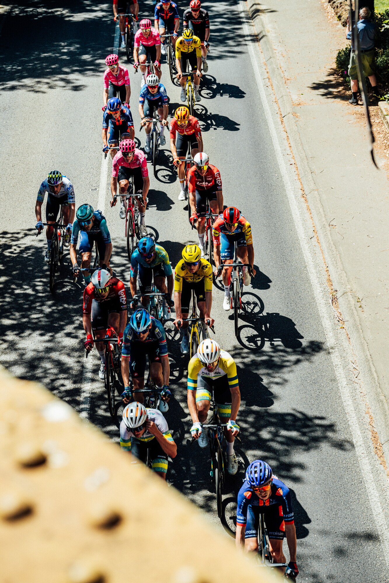 cyclingimages-TDU-2026-Mens Stage 5-835680.jpg