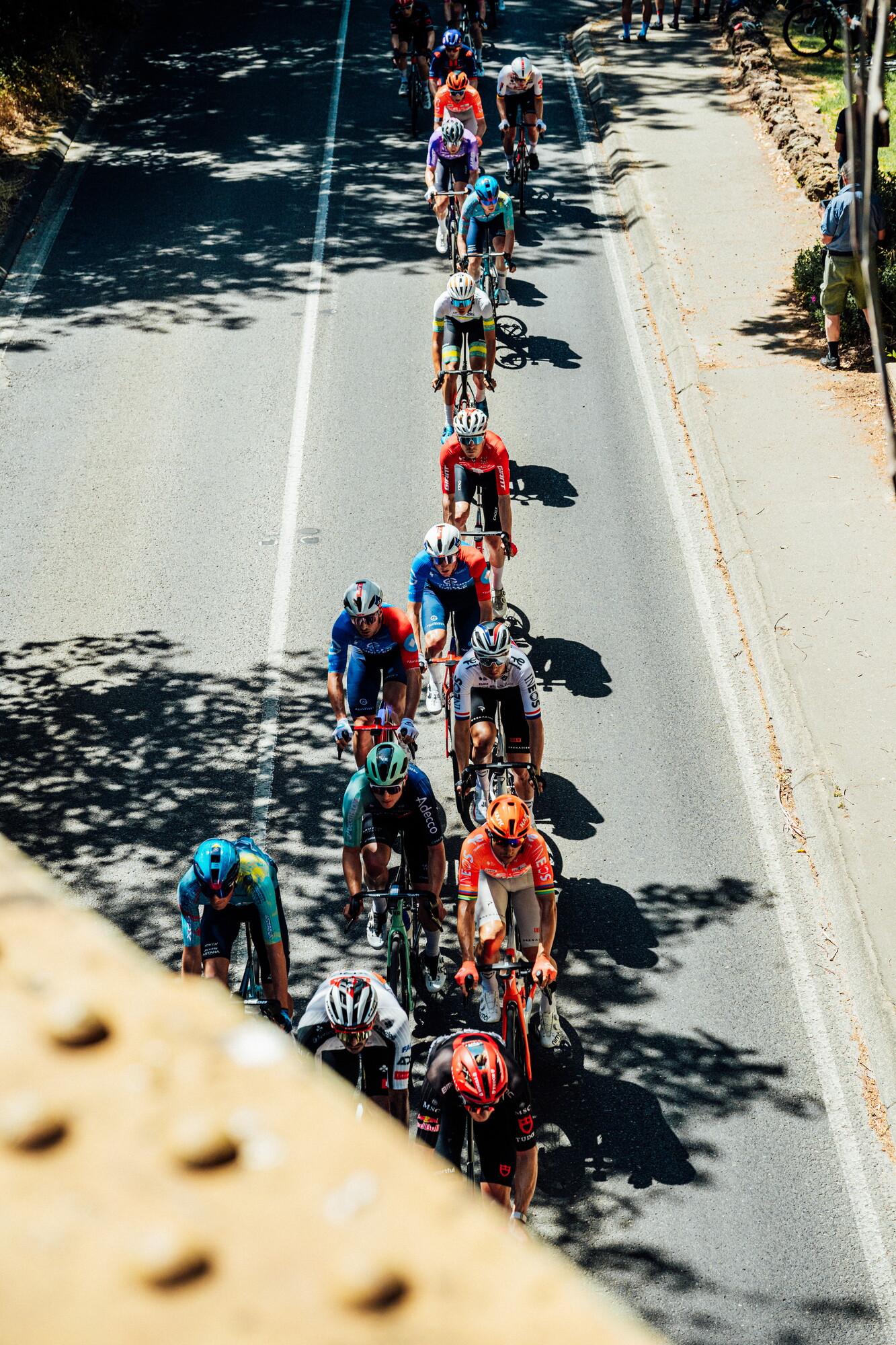 cyclingimages-TDU-2026-Mens Stage 5-835779.jpg