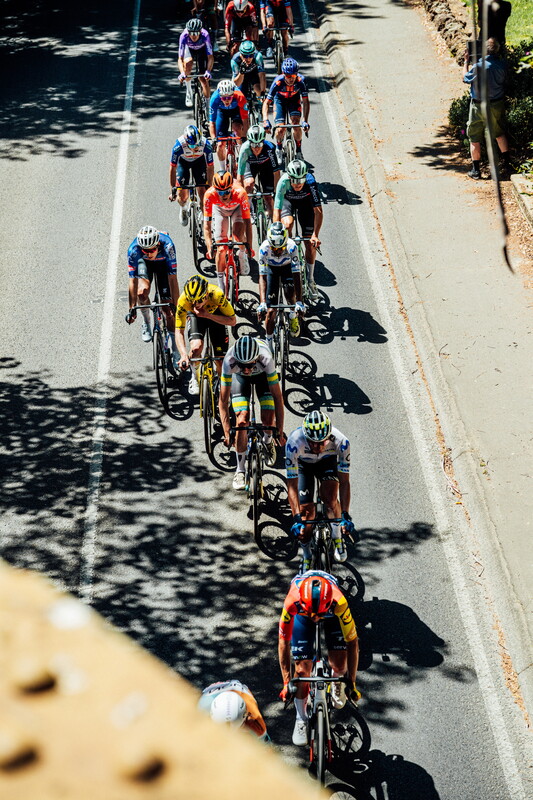 cyclingimages-TDU-2026-Mens Stage 5-835649.jpg