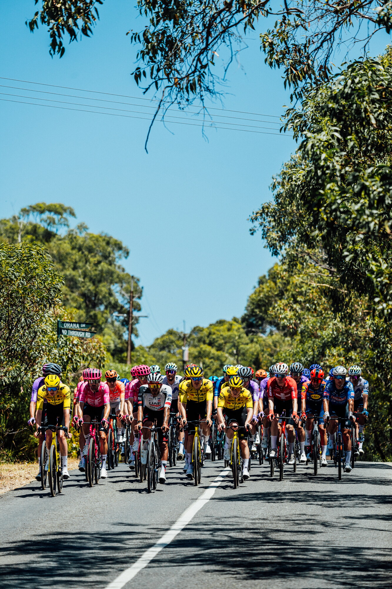 cyclingimages-TDU-2026-Mens Stage 5-826357.jpg