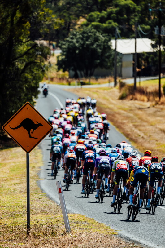 cyclingimages-TDU-2026-Mens Stage 5-825833.jpg