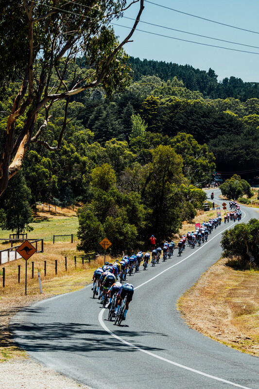 cyclingimages-TDU-2026-Mens Stage 5-826060.jpg