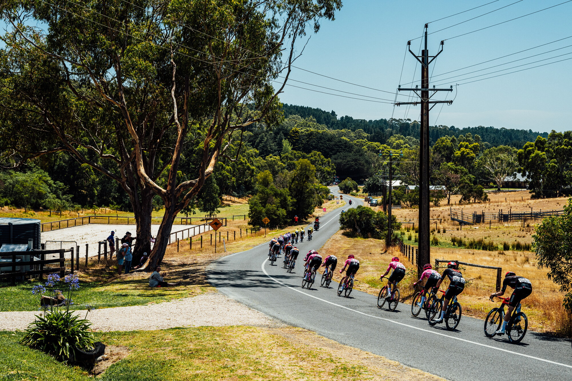 cyclingimages-TDU-2026-Mens Stage 5-836030.jpg