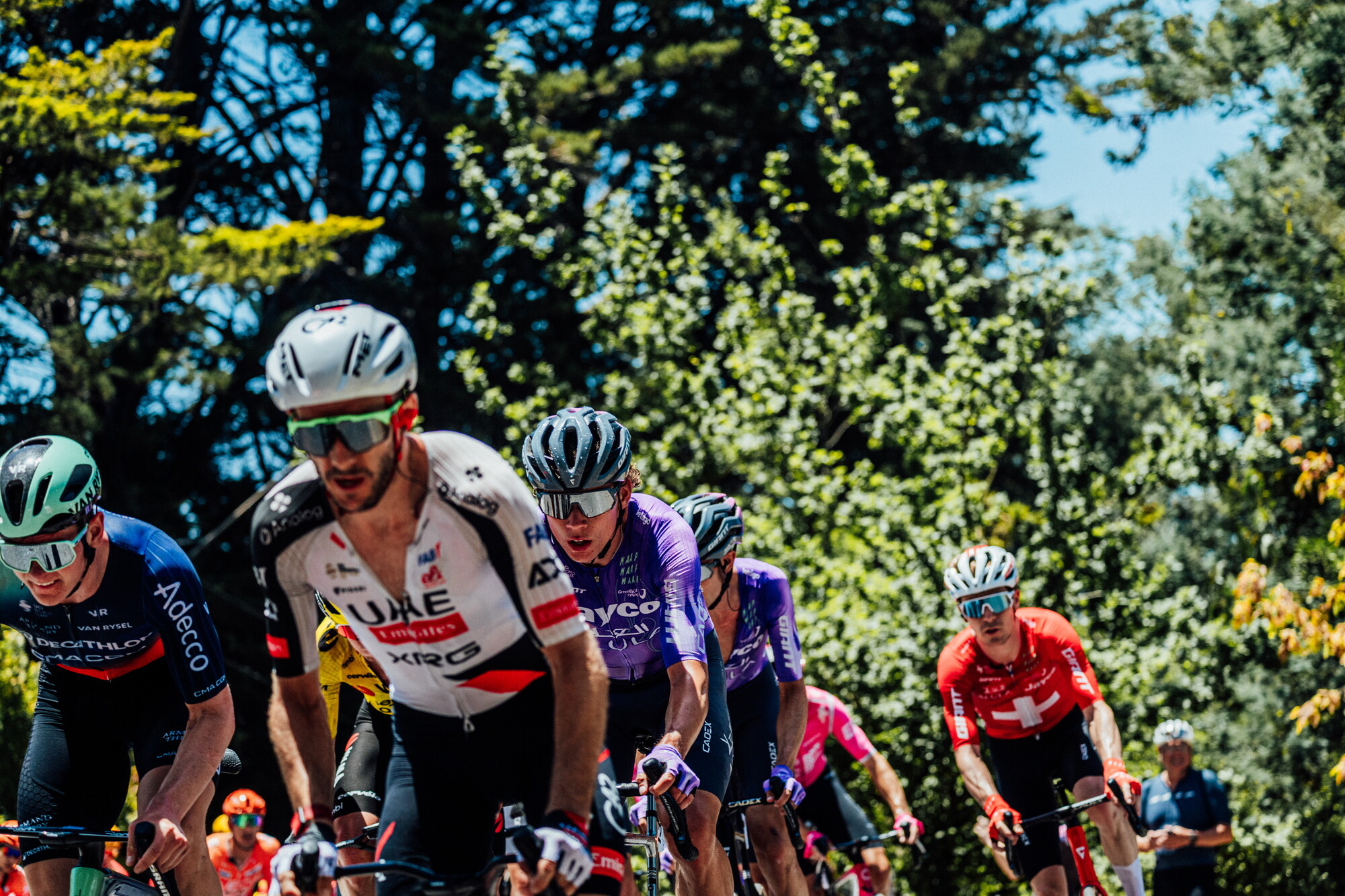 cyclingimages-TDU-2026-Mens Stage 5-826928.jpg
