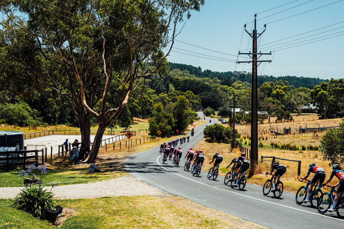 cyclingimages-TDU-2026-Mens Stage 5-836036.jpg