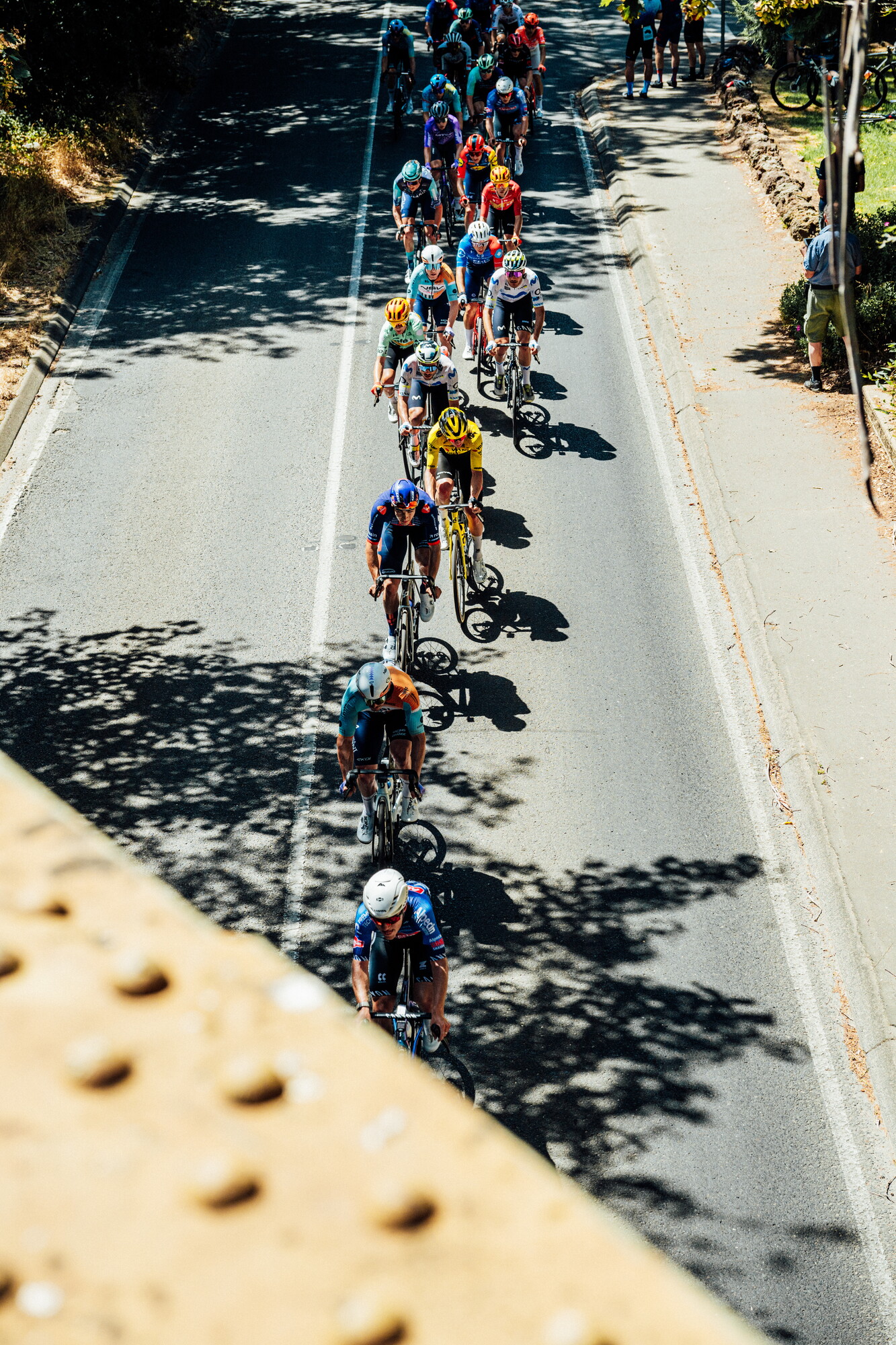cyclingimages-TDU-2026-Mens Stage 5-835745.jpg
