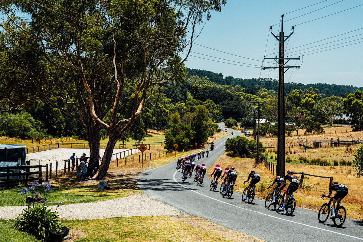 cyclingimages-TDU-2026-Mens Stage 5-836034.jpg