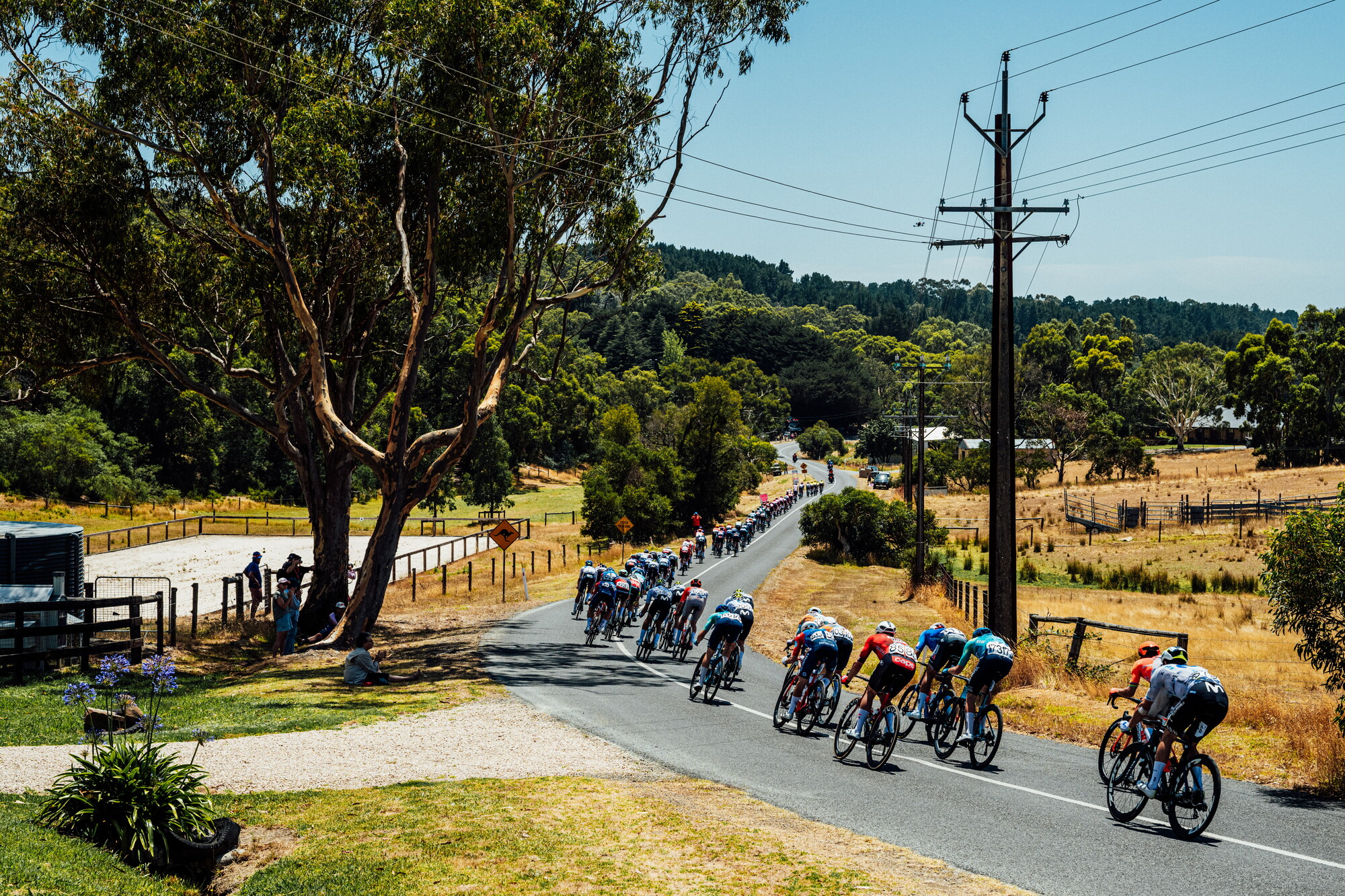 cyclingimages-TDU-2026-Mens Stage 5-836146.jpg