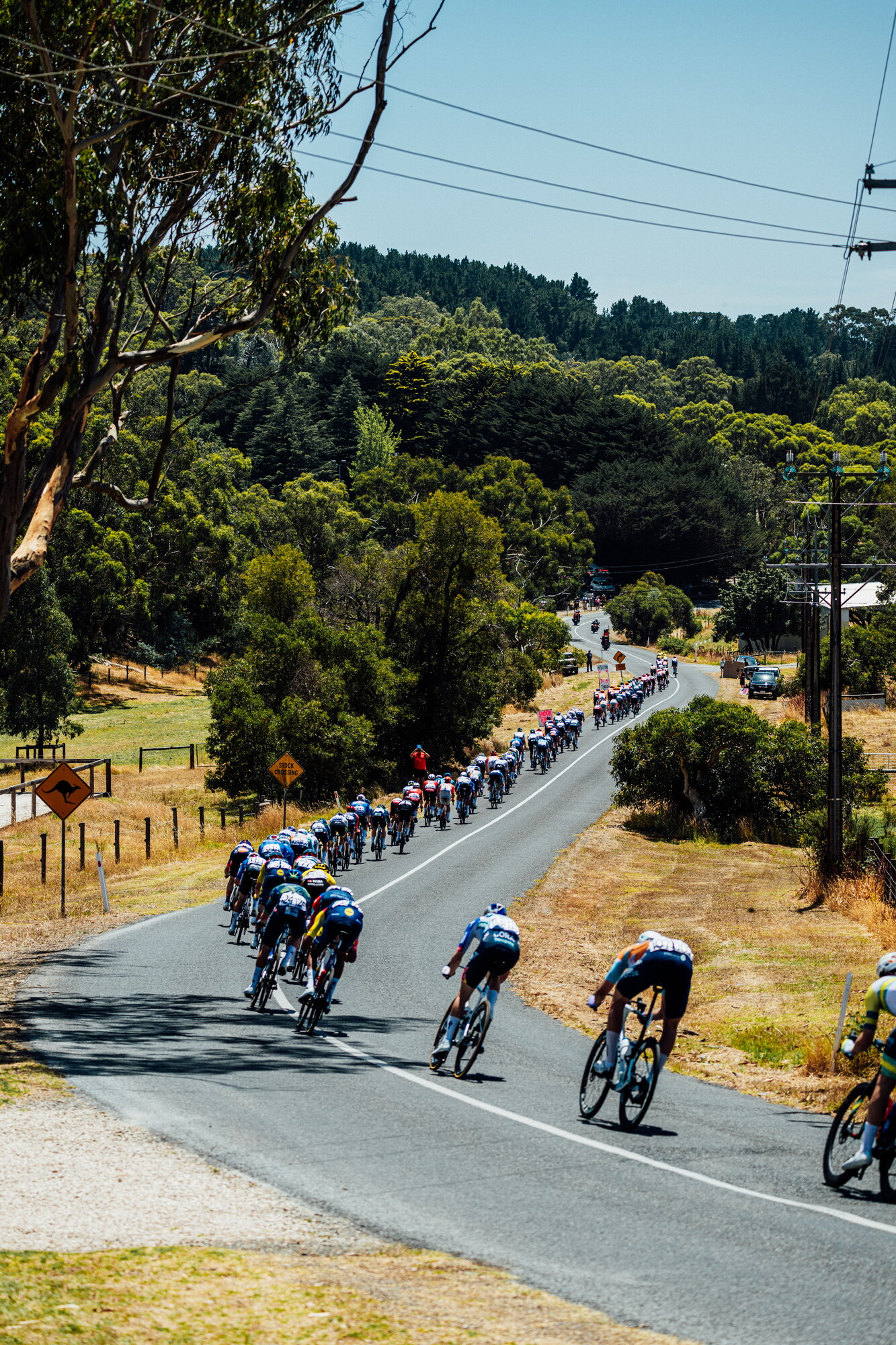 cyclingimages-TDU-2026-Mens Stage 5-826034.jpg